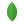 MongoDB icon